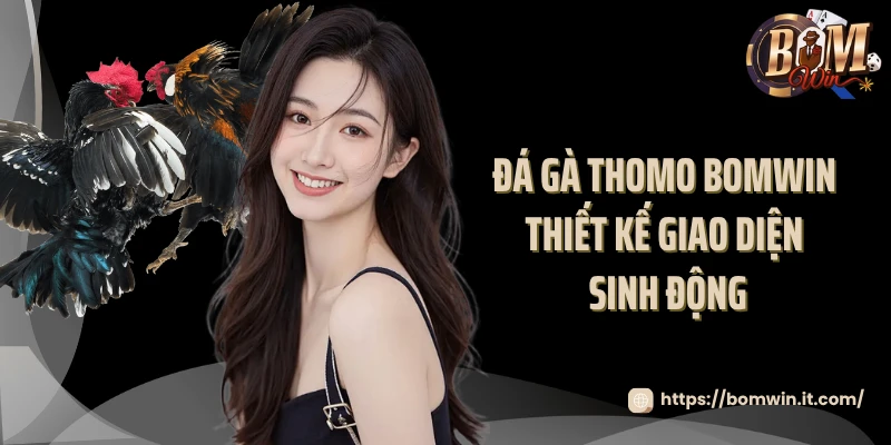 Đá Gà Thomo Bomwin: Tham Gia Đấu Trường Huyền Thoại 2025 Đá gà thomo Bomwin thiết kế giao diện sinh động