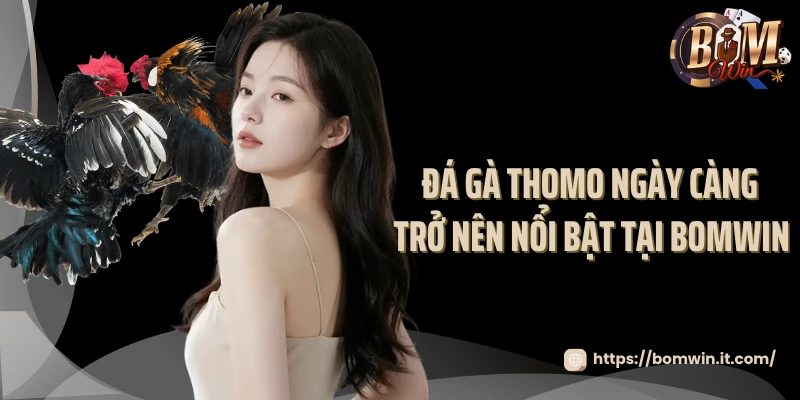 Đá Gà Thomo Bomwin: Tham Gia Đấu Trường Huyền Thoại 2025 Đá gà thomo ngày càng trở nên nổi bật tại Bomwin